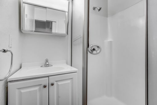 a bathroom with a sink and a shower