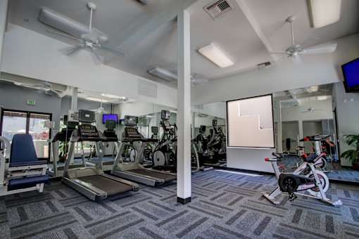 A gym with treadmills, exercise bikes, and other equipment.