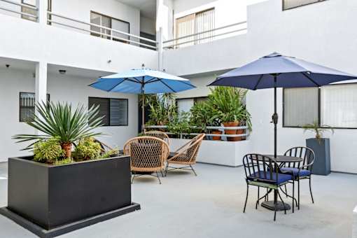 A patio with a table, chairs, and plants.