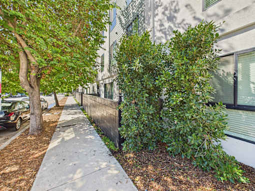 A tree and shrubbery line a sidewalk in front of a building.