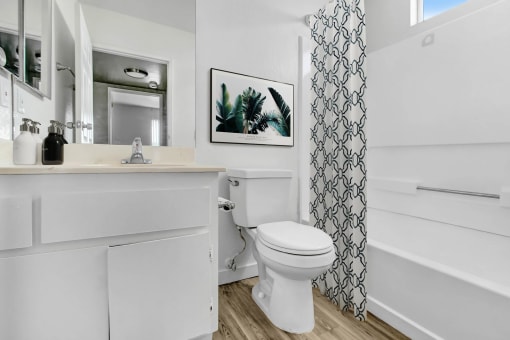 a bathroom with a sink and a toilet and a shower