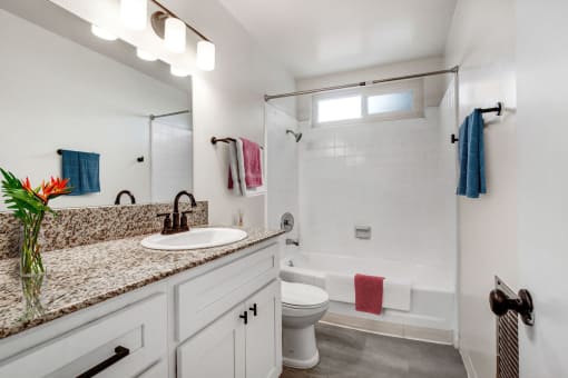 a bathroom with a sink and a toilet