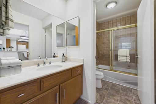 A bathroom with a walk-in shower and a toilet.