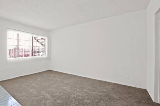 the spacious living room of an apartment with carpet and a window