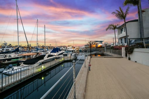 a marina with boats and yachts at sunset