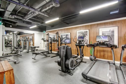 the gym is equipped with cardio equipment and weights
