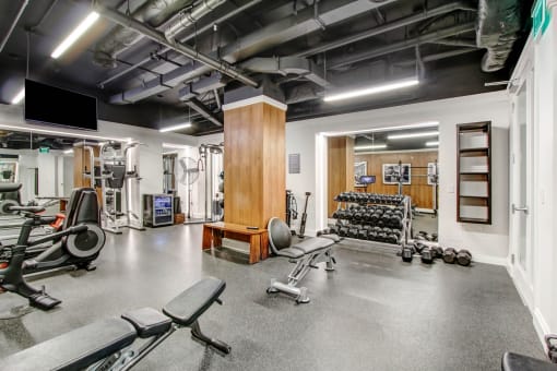 the gym is equipped with cardio equipment and weights