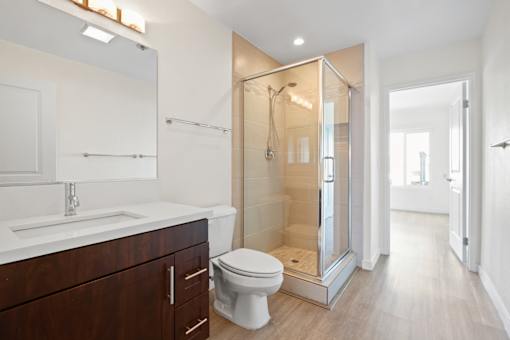 A modern bathroom with a walk-in shower and a toilet.