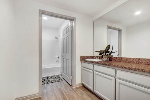 A bathroom with a sink, mirror, and a rug on the floor.