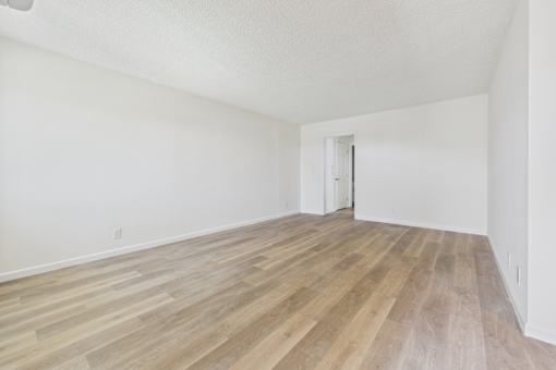 A room with a wooden floor and a door.