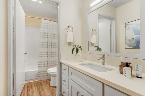 a bathroom with a sink and a mirror and a shower