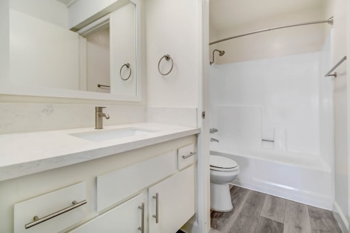 a bathroom with a sink and a toilet