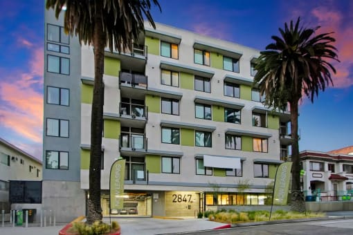 an image of a building with palm trees in front of it