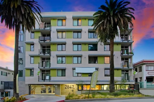 a view of a building with palm trees in front of it
