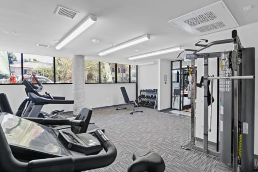 Fitness Studio and Workout Equipment