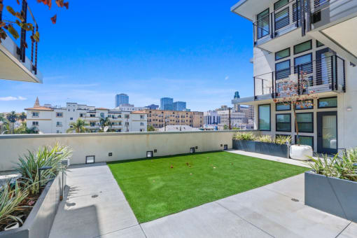 Zen Courtyard
