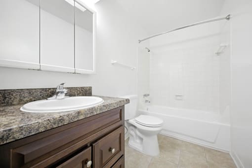 Ashton Pointe 1-bedroom apartment bathroom with bright lighting, large mirror, single-sink vanity, toilet, and tub.