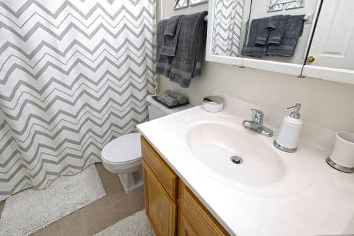 Full Bathroom at Ashmore Trace Apartments