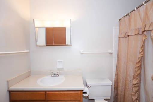 A bathroom with a sink, toilet, and shower curtain.