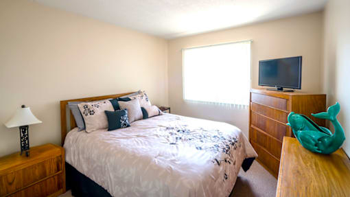 Bedroom in a one-bedroom apartment at Village Square Apartments with ample space and natural light.