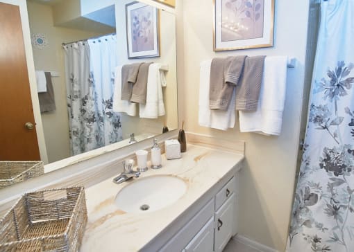 Classic Series Bathroom at Somerset Lakes