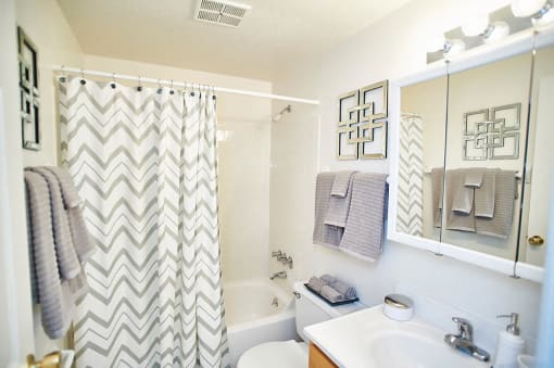 Bathroom at Ashmore Trace with Vanity, Toilet, and Shower.