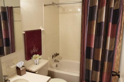 Our Bathrooms are Spacious and Clean