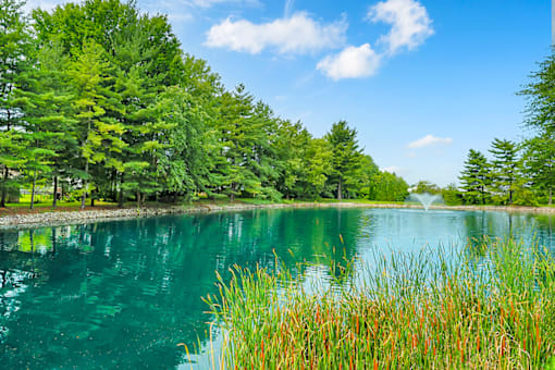 Serene pond at Fairington of Louisville, surrounded by lush greenery and offering a tranquil outdoor setting.