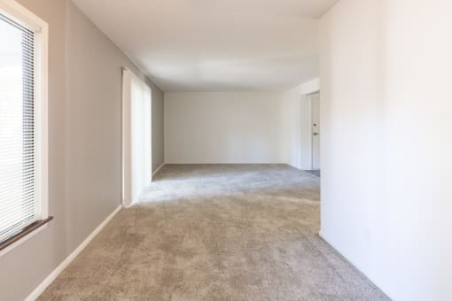 Open living and dining space with patio access in a 2 Bedroom Apartment  at Woodlake Apartments