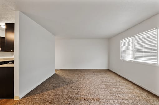 Living room in a 2-bedroom, 1-bathroom apartment featuring large windows and carpeted floors at Country View Apartments.