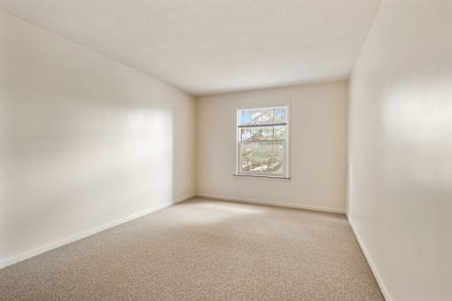A room with a carpeted floor and a window showing a view of trees.