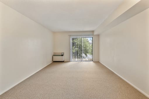 A white room with a carpeted floor and a window with blinds.
