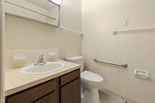 A bathroom with a sink, toilet, and grab bars.