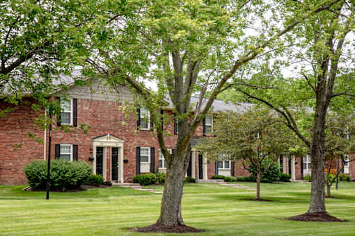 A large tree stands in front of a red brick building.