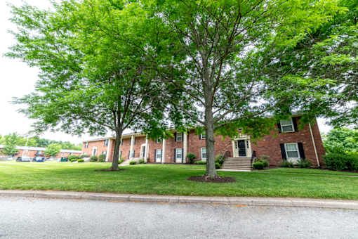 A tree in front of a brick house.