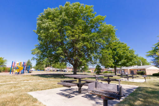 Picnic Table and Grilling Station near the Playground at Ashmore Trace