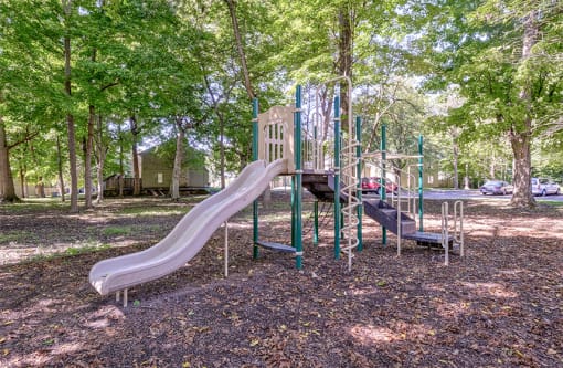 Playground equipment and slide at The Woods of Eagle Creek