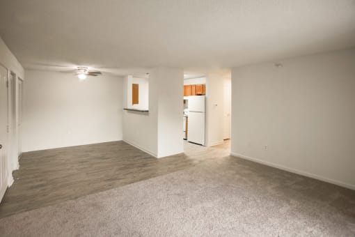 Open Concept Living Room