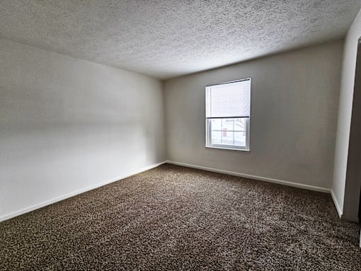 A room with a carpeted floor and a window.