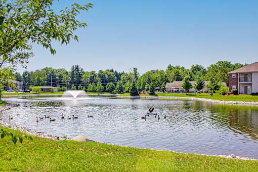 A lake with ducks swimming in it and a fountain in the middle.
