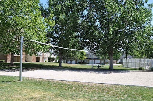 A volleyball net is set up in a grassy area.