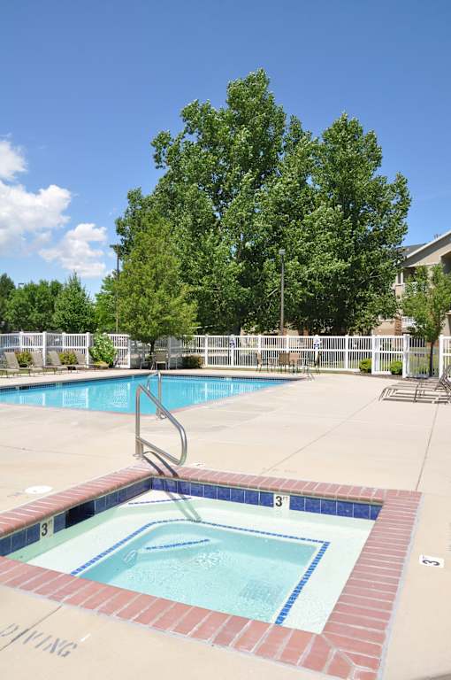 A pool with a diving board and a tree in the background.