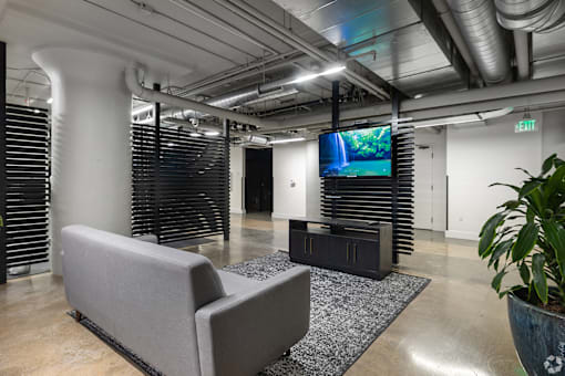 A grey couch sits in a room with a television and a plant.