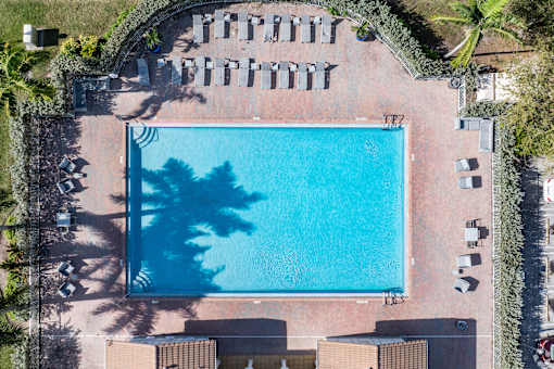 An aerial view of a swimming pool surrounded by sun loungers and trees.
