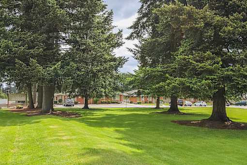 A green lawn with trees and a sign that says "Brookridge".