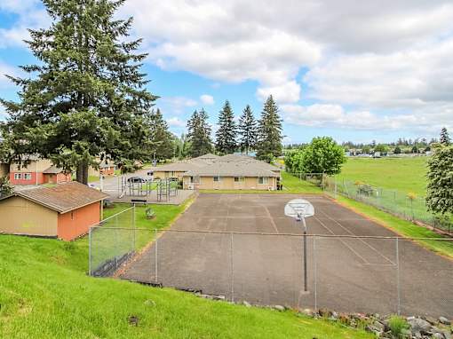 A basketball court is surrounded by a fence and trees.