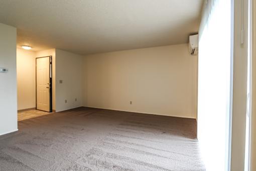 A room with a carpeted floor and a closed door.