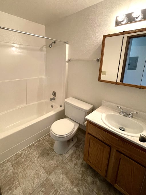 A white toilet sits next to a bathtub in a bathroom.
