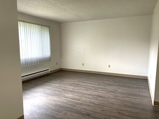 A room with a window and a radiator on the wall.