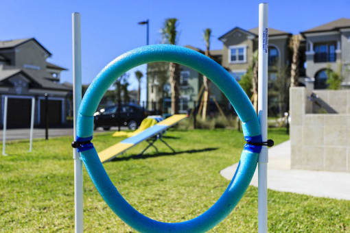 Obstacles at pet park for dogs to enjoy at Lake Nona Water Mark in Orlando, FL 32827